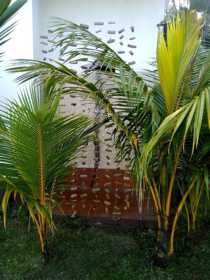 Maison Amantine Anse Royale Exterior foto